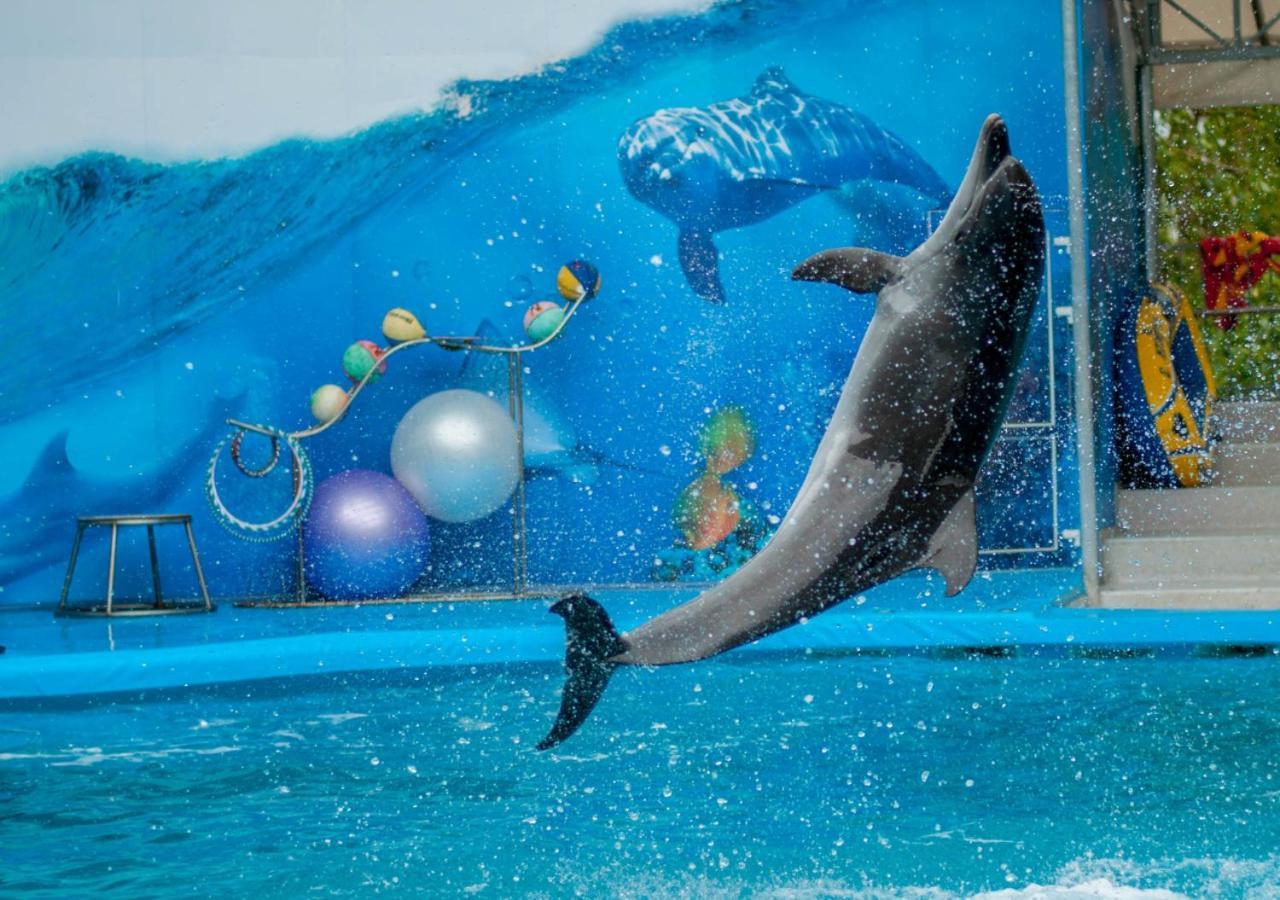 Moevenpick Hotel Apartments Al Mamzar Дубай Екстериор снимка Dolphin show at the park